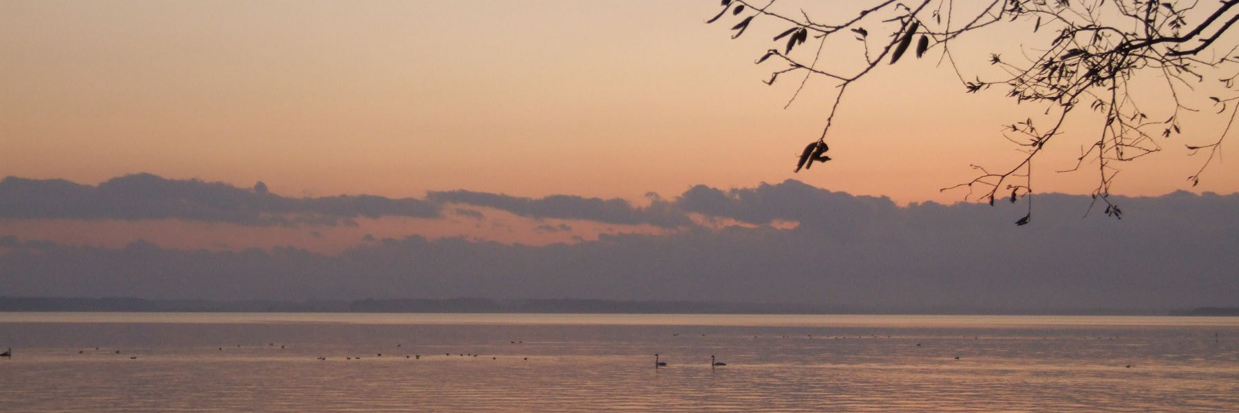 dscf0193.jpg